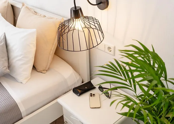 Erato Naxos Hotel apartamentowy