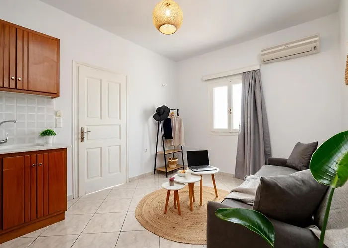 Erato Naxos מלון דירות איוס פרוקופיוס