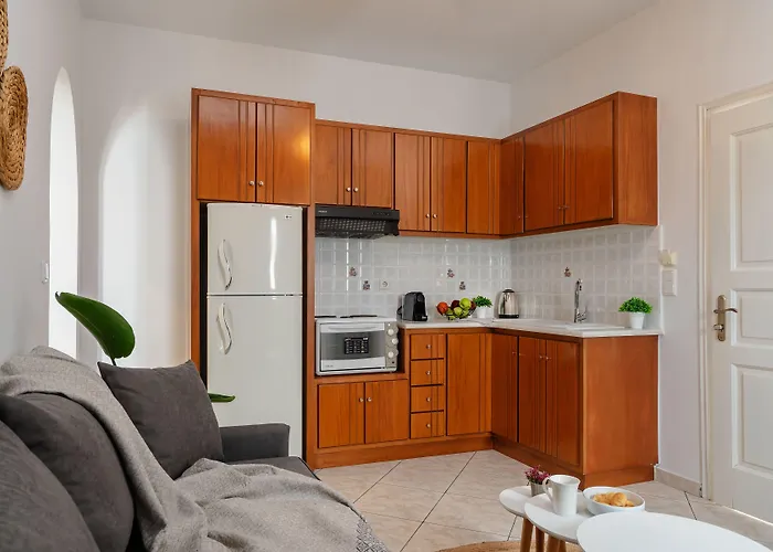 מלון דירות Erato Naxos