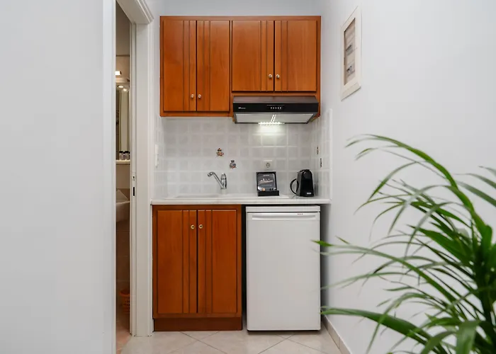 Erato Naxos 4* איוס פרוקופיוס